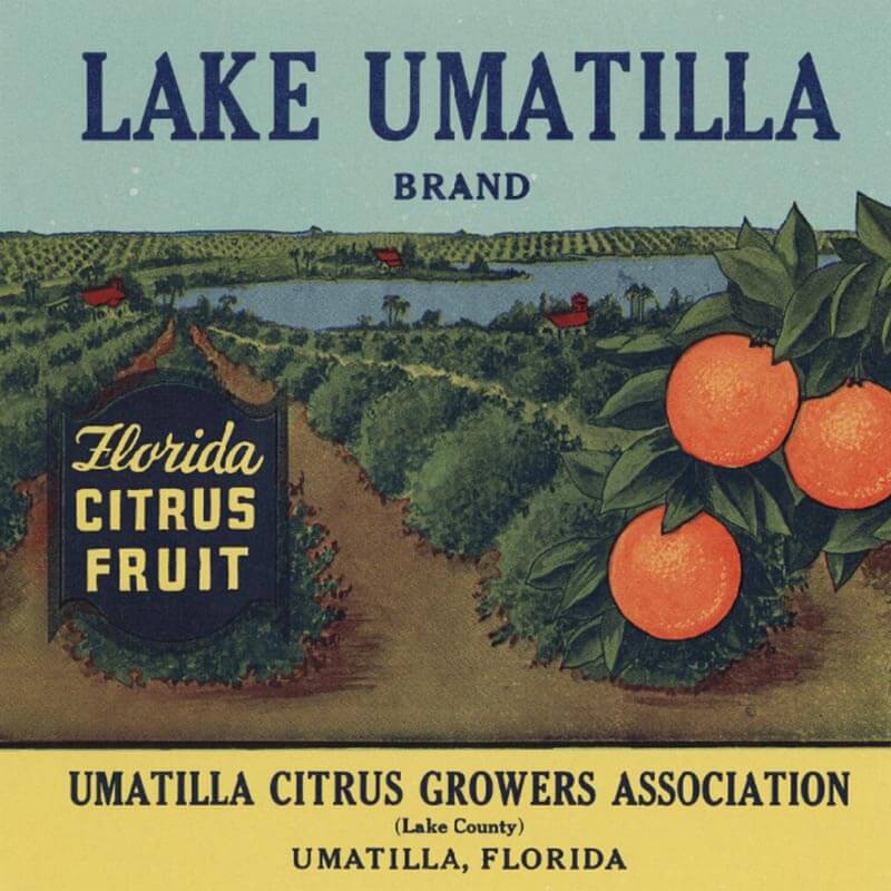 An illustrated Lake Umatilla brand citrus label showcases an orange grove surrounding a blue lake. Blue letters cover the background.