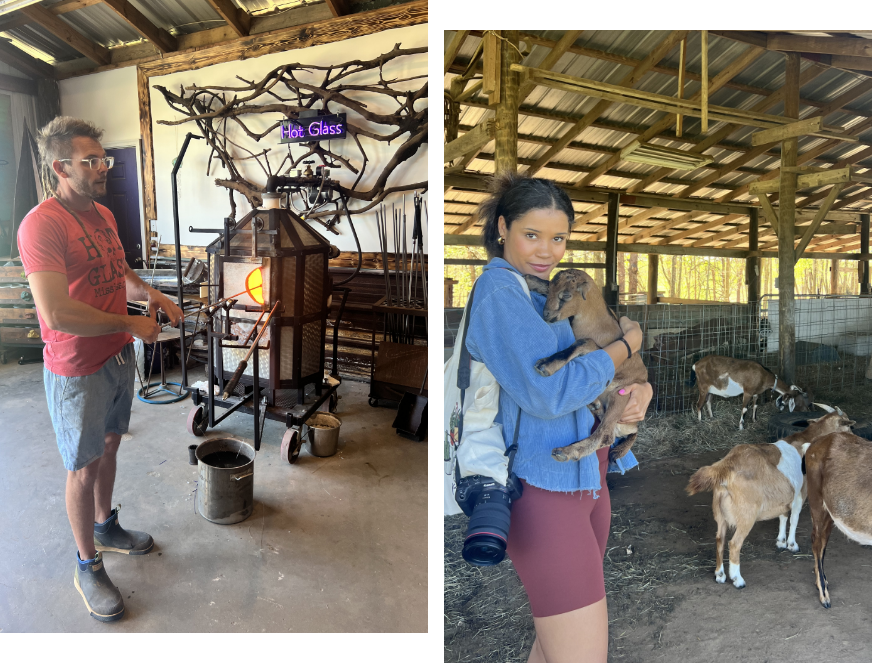 Left to right: Glass blowing; baby goats